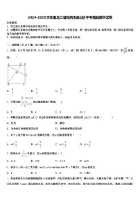 2024-2025学年黑龙江省鸡西市麻山区中考猜题数学试卷含解析