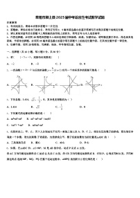 阜阳市颍上县2025届中考适应性考试数学试题含解析