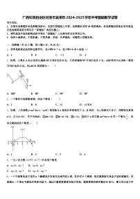 广西壮族自治区河池市宜州市2024-2025学年中考猜题数学试卷含解析