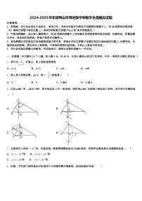 2024-2025学年双鸭山市饶河县中考数学全真模拟试题含解析