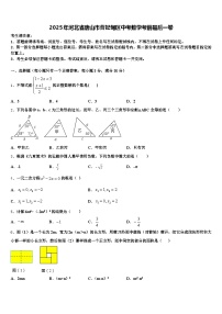 2025年河北省唐山市曹妃甸区中考数学考前最后一卷含解析
