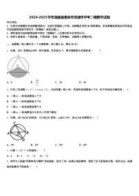 2024-2025学年湖南省娄底市涟源市中考二模数学试题含解析