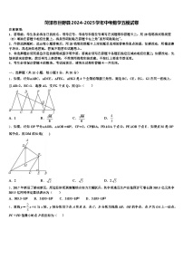 菏泽市巨野县2024-2025学年中考数学五模试卷含解析