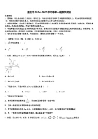 崇左市2024-2025学年中考一模数学试题含解析