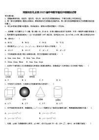 阿里地区札达县2025届中考数学最后冲刺模拟试卷含解析