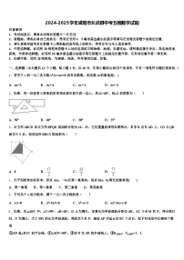 2024-2025学年咸阳市长武县中考五模数学试题含解析