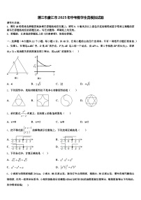 湛江市廉江市2025年中考数学全真模拟试题含解析