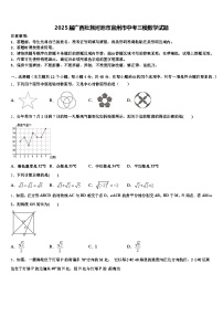 2025届广西壮族河池市宜州市中考三模数学试题含解析