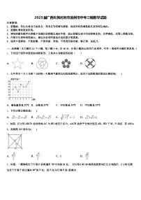 2025届广西壮族河池市宜州市中考三模数学试题含解析