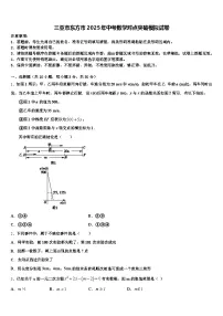 三亚市东方市2025年中考数学对点突破模拟试卷含解析