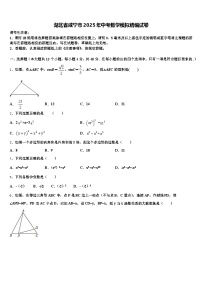 湖北省咸宁市2025年中考数学模拟精编试卷含解析