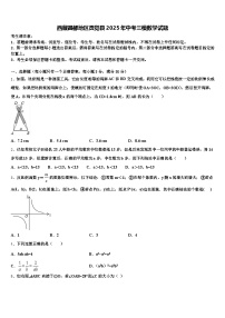 西藏昌都地区贡觉县2025年中考三模数学试题含解析