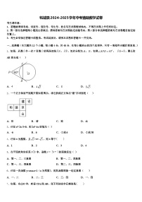 柘城县2024-2025学年中考猜题数学试卷含解析