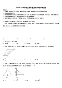 2024-2025学年玉林市博白县中考数学模试卷含解析
