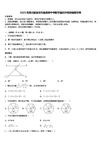 2025年四川省宜宾市南溪县中考数学最后冲刺浓缩精华卷含解析