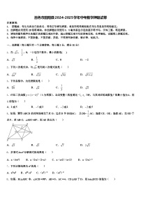 百色市田阳县2024-2025学年中考数学押题试卷含解析