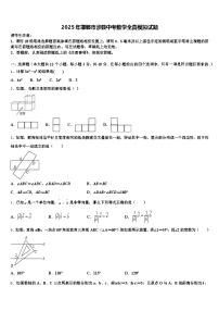 2025年邯郸市涉县中考数学全真模拟试题含解析