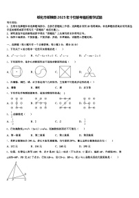 绥化市绥棱县2025年十校联考最后数学试题含解析