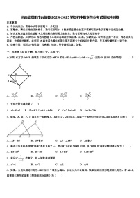 河南省濮阳市台前县2024-2025学年初中数学毕业考试模拟冲刺卷含解析