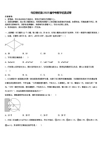 乌拉特后旗2025届中考数学仿真试卷含解析