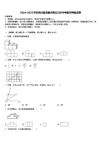 2024-2025学年四川省成都市青白江区中考数学押题试卷含解析