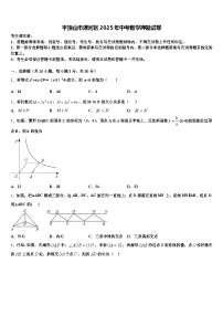 平顶山市湛河区2025年中考数学押题试卷含解析