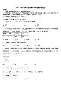 2024-2025学年宁德市寿宁县中考数学模试卷含解析