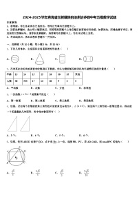2024-2025学年青海省玉树藏族自治州治多县中考五模数学试题含解析