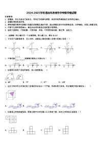 2024-2025学年清远市连州市中考数学模试卷含解析