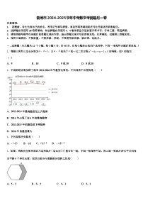 雷州市2024-2025学年中考数学考前最后一卷含解析