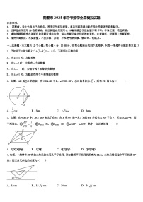 阳春市2025年中考数学全真模拟试题含解析