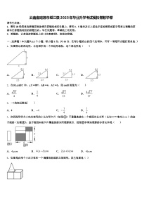 云南省昭通市绥江县2025年毕业升学考试模拟卷数学卷含解析