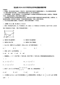轮台县2024-2025学年毕业升学考试模拟卷数学卷含解析