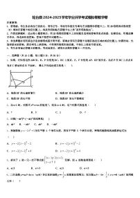 轮台县2024-2025学年毕业升学考试模拟卷数学卷含解析