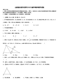 山西省运城市河津市2025届中考联考数学试题含解析