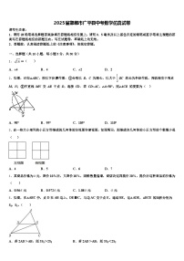 2025届邯郸市广平县中考数学仿真试卷含解析
