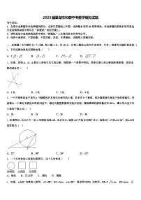 2025届巢湖市和县中考数学模拟试题含解析