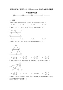 2025-2026学年河北省石家庄市栾城区第四十八中学九年级上学期限时作业数学试题