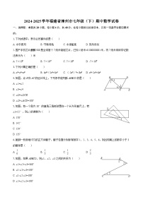 2024-2025学年福建省漳州市七年级（下）期中数学试卷-自定义类型