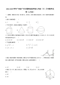 2024-2025学年广东省广州市荔湾实验学校九年级（下）月考数学试卷（4月份）-自定义类型