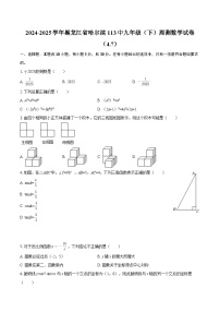 2024-2025学年黑龙江省哈尔滨113中九年级（下）周测数学试卷（4.7）-自定义类型