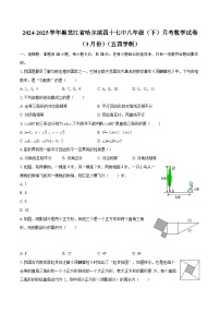 2024-2025学年黑龙江省哈尔滨四十七中八年级（下）月考数学试卷（3月份）（五四学制）-自定义类型 (1)