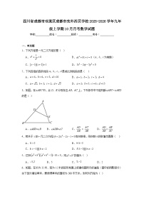 2025-2026学年四川省成都市双流区成都市实外西区学校九年级上学期10月月考数学试题