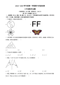 湖北省武汉市江汉区2024-2025学年八年级上学期11月期中考试数学试题（原卷版）-A4
