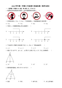 浙江省温州市龙湾区2022--2023学年上学期八年级数学期中质量检测试卷（原卷版）-A4