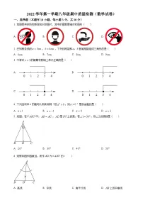 浙江省温州市龙湾区2022--2023学年上学期八年级数学期中质量检测试卷（原卷版）-A4