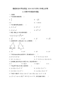 福建省泉州市泉港区2024-2025学年八年级上学期11月期中考试数学试卷（学生版）