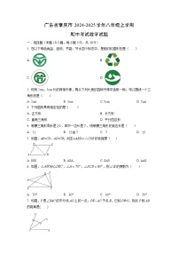 广东省肇庆市2024-2025学年八年级上学期期中考试数学试卷（学生版）