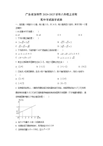 广东省深圳市2024-2025学年八年级上学期期中考试数学试卷（学生版）