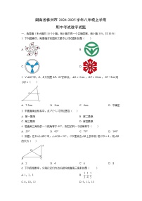 湖南省株洲市2024-2025学年八年级上学期期中考试数学试卷（学生版）